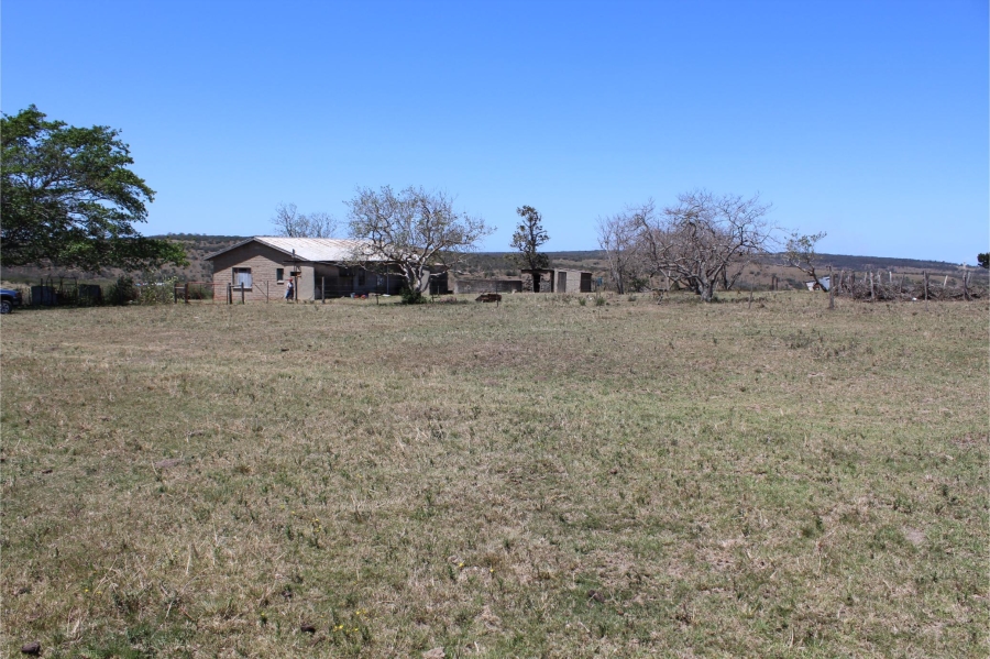 5 Bedroom Property for Sale in Mooiplaas Eastern Cape